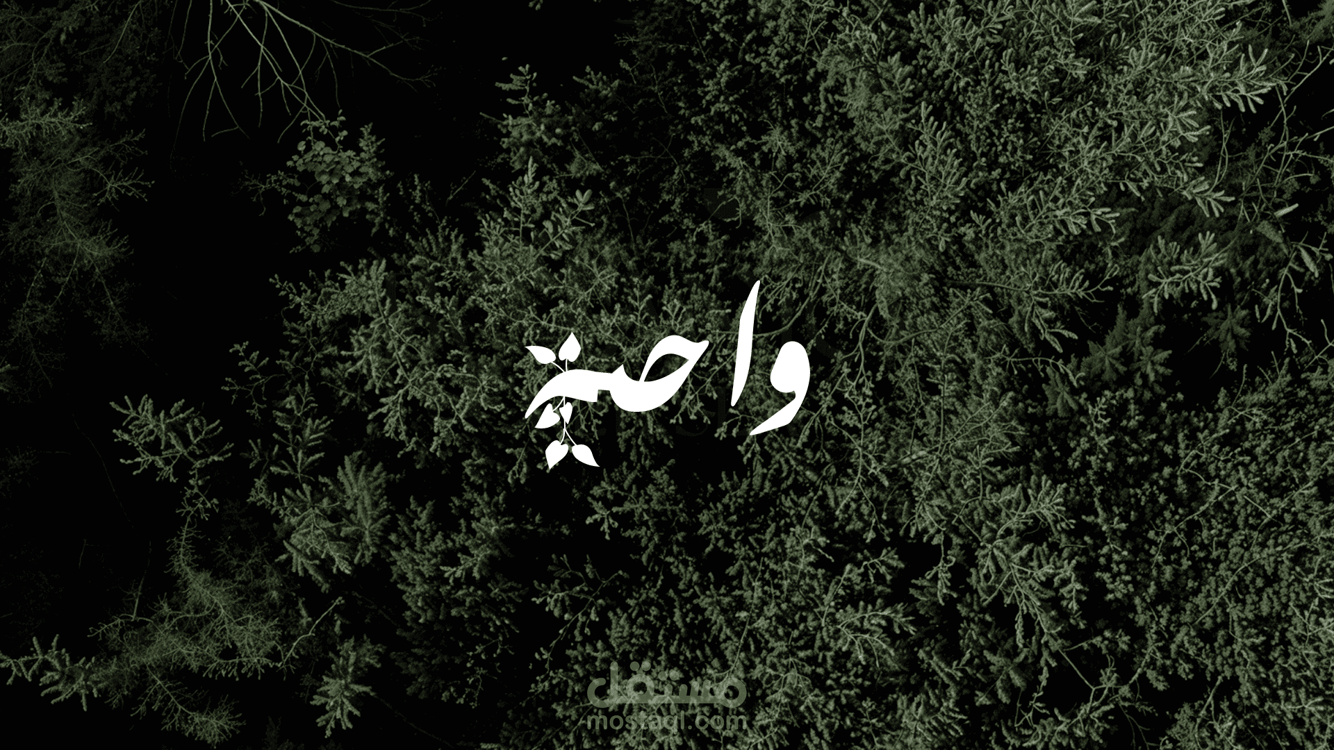 هوية بصريه لـ واحة