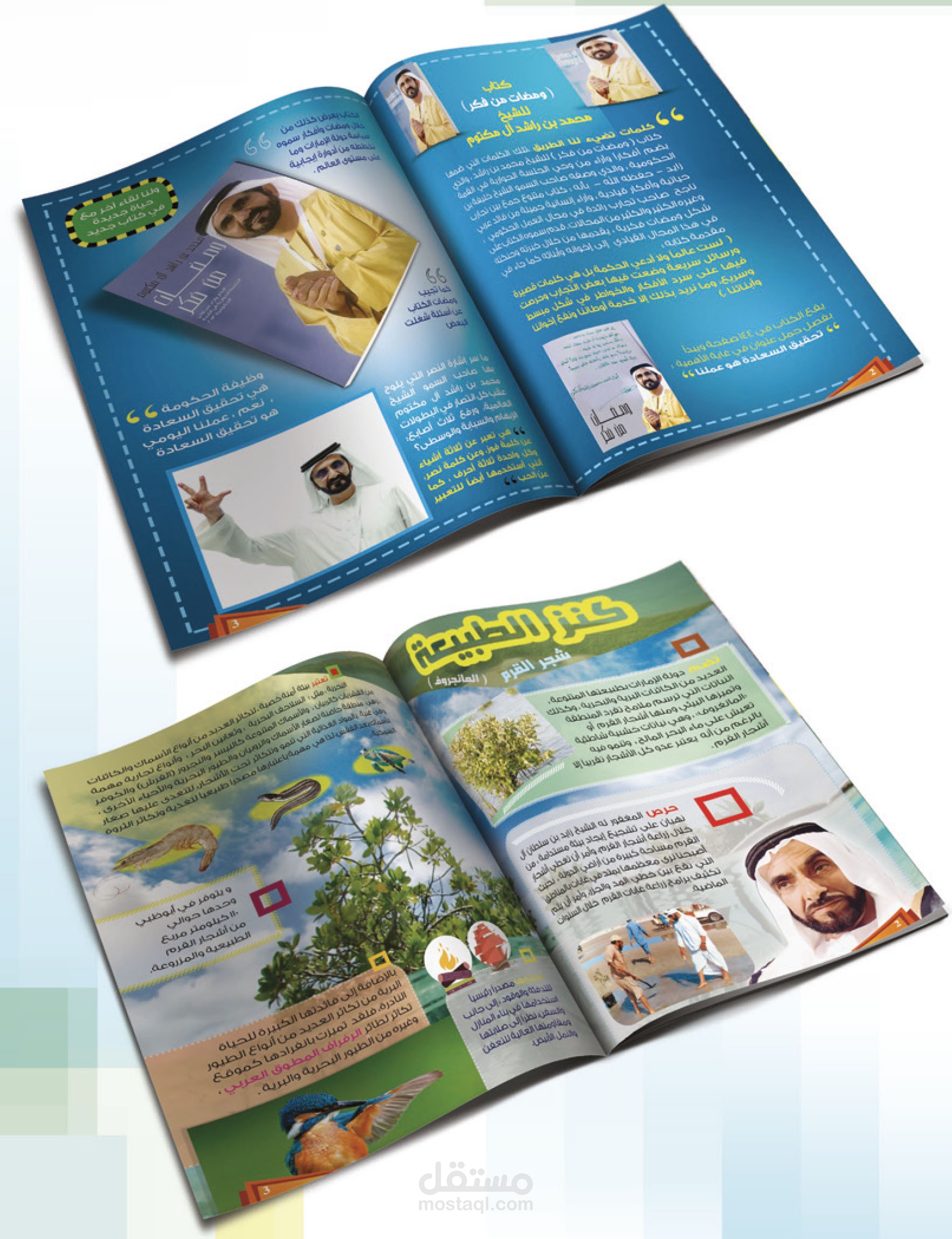 صفحات داخلية