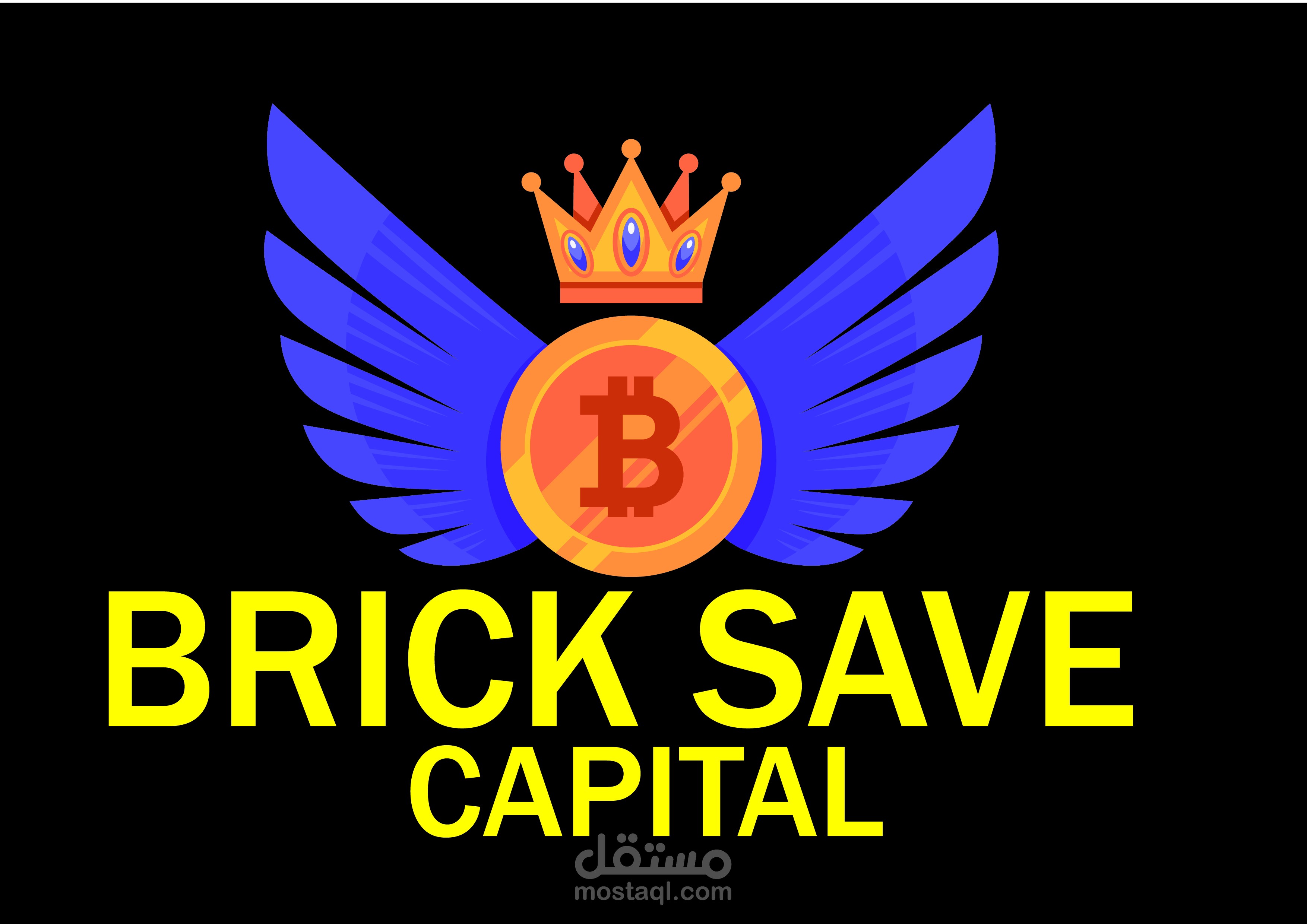 لوجو لشركة لحماية الاموال