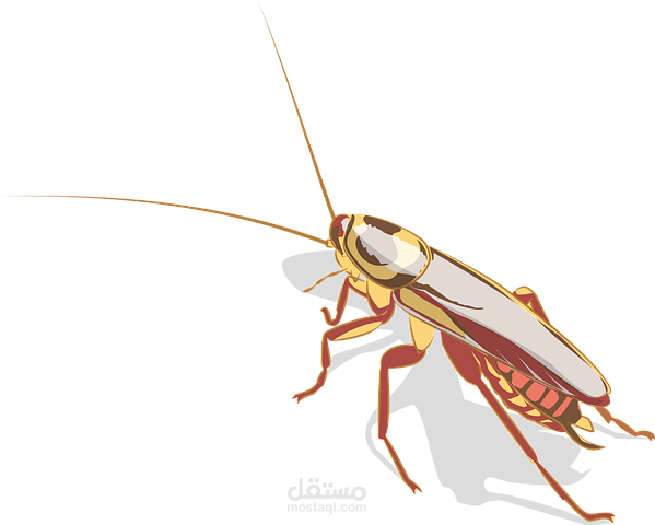 مقالة عن مكافحة الصراصير