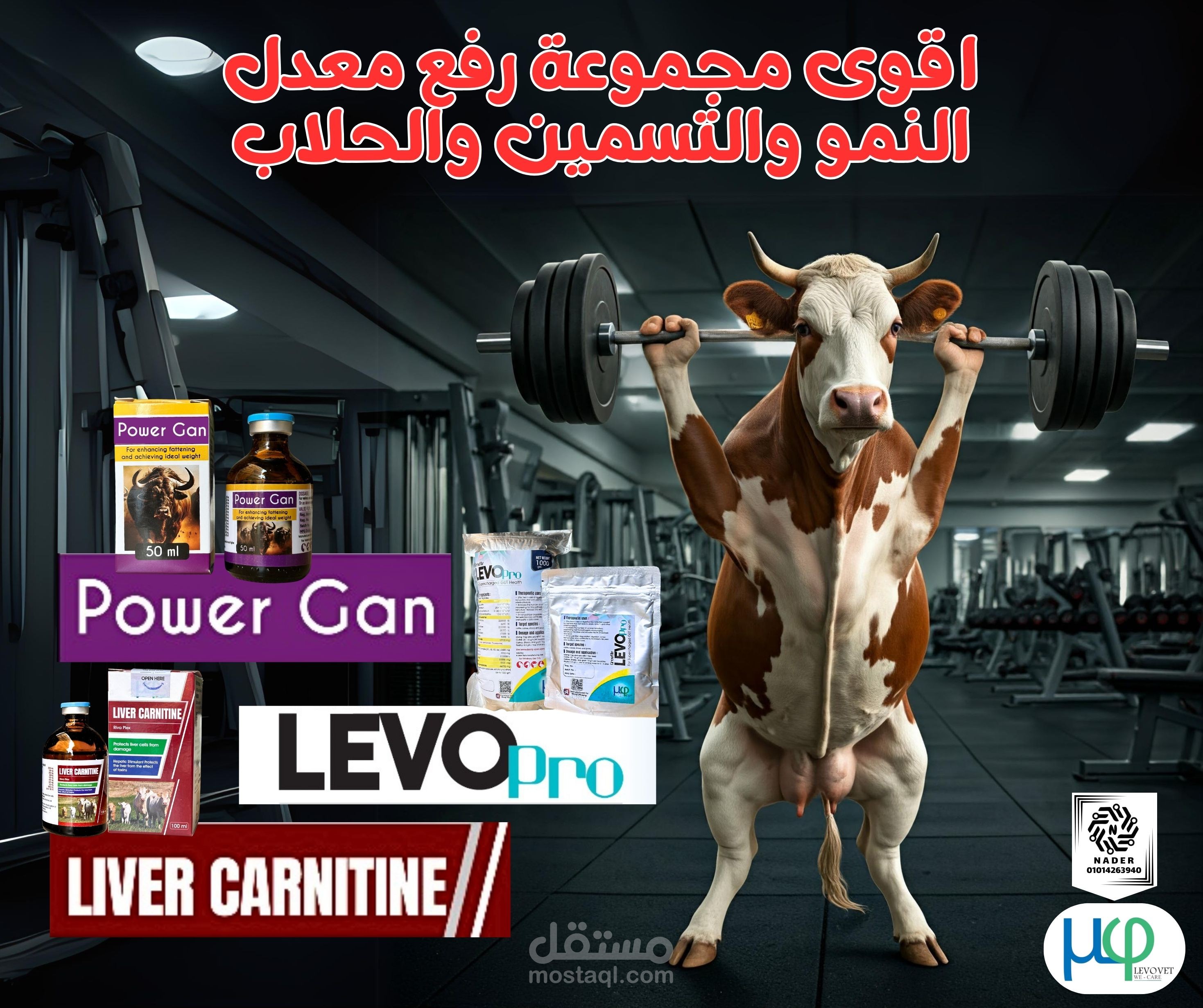 تصميمات سوشيال ميديا فى مجال الطب البيطرى