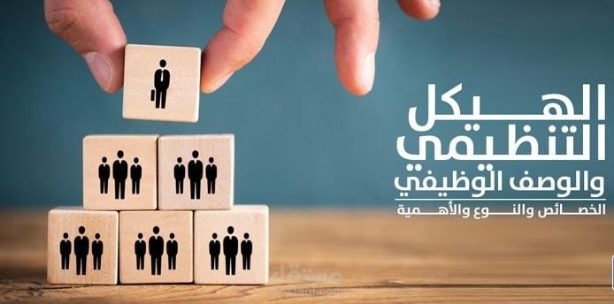 هيكل تنظيمي لشركة + فروع بمحافظات مختلفة
