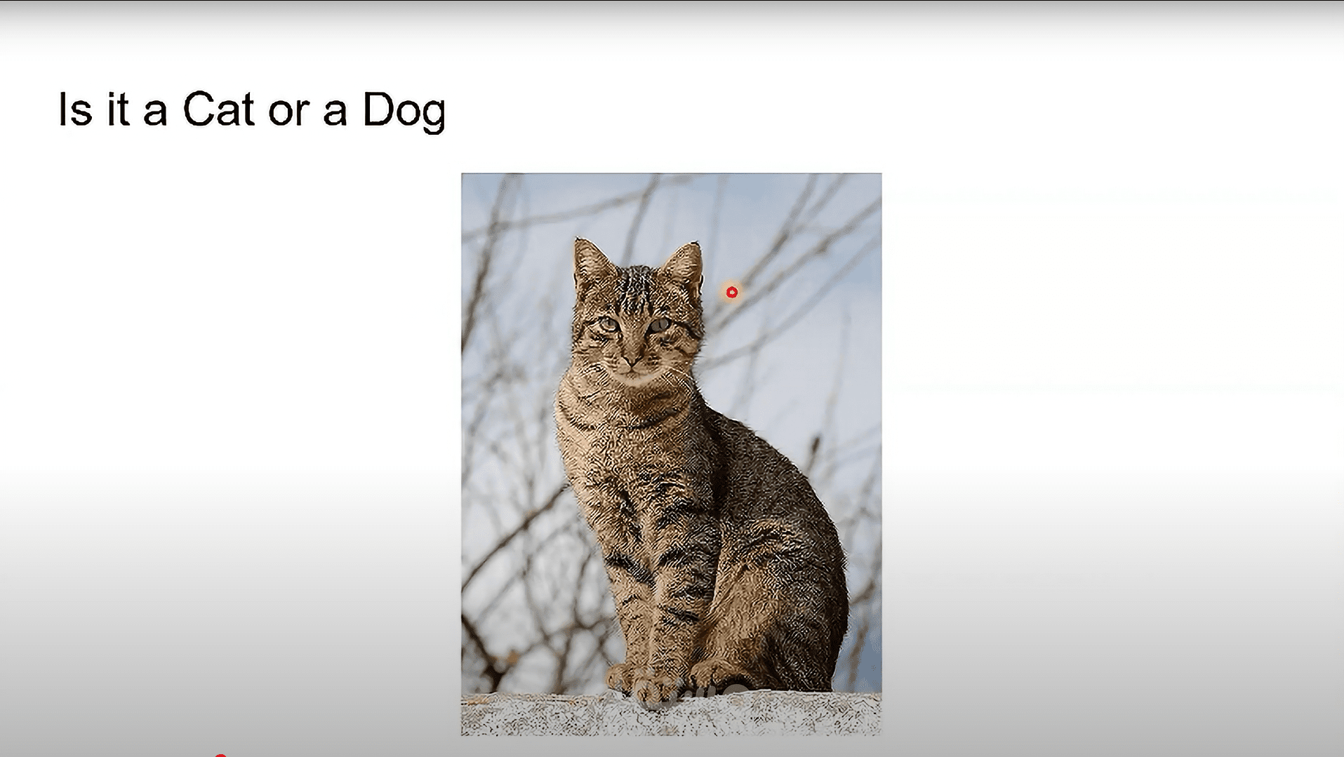 مقدمة في الذكاء الاصطناعي