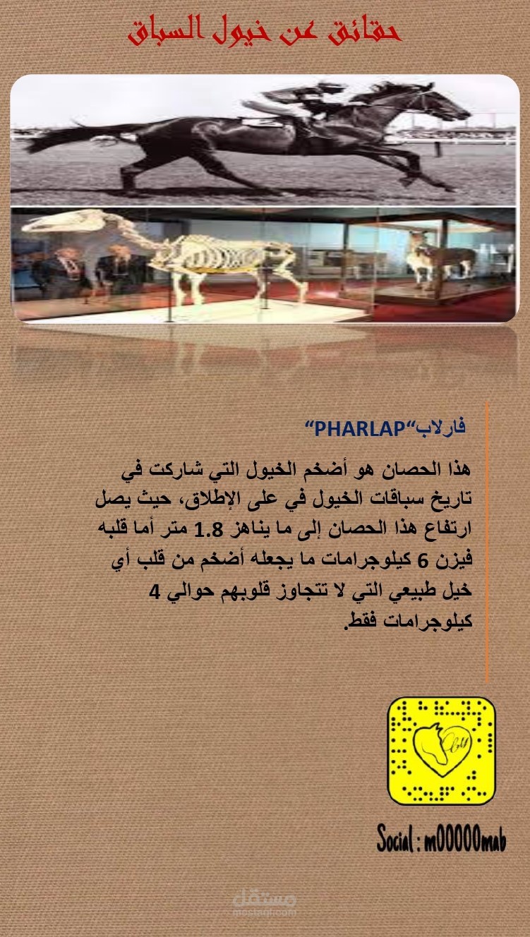 معلومات تعليمية عن الخيول