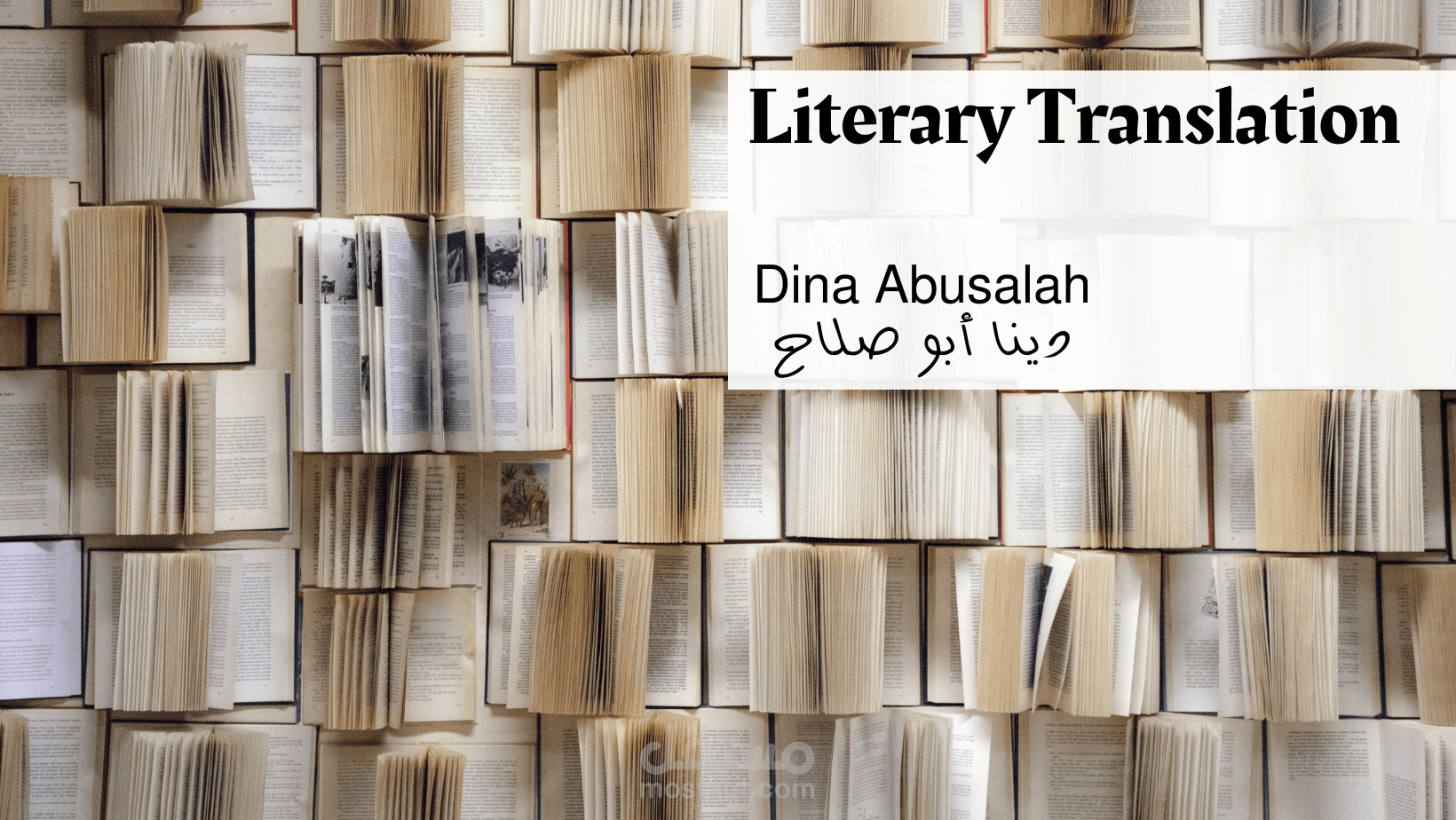 ترجمة أدبية