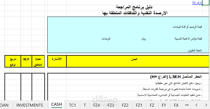 تصميم برنامج كامل للمراجعه Audit