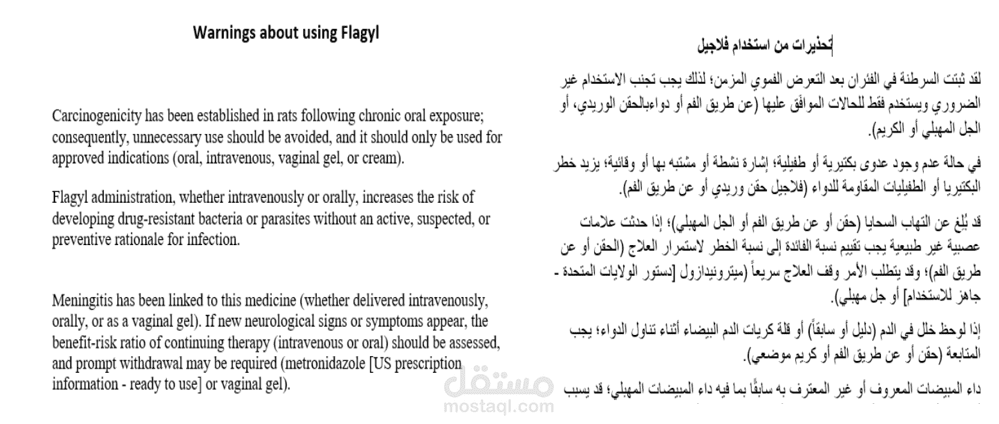 ترجمة احترافية من الإنجليزية الى العربية والعكس