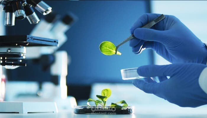 مقال علمي : التكنولوجيا الحيوية، ماهيتها، مجالاتها، وأهم تطبيقاتها