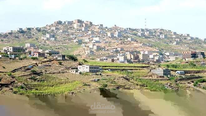 كاتب محتوي وصحفي
