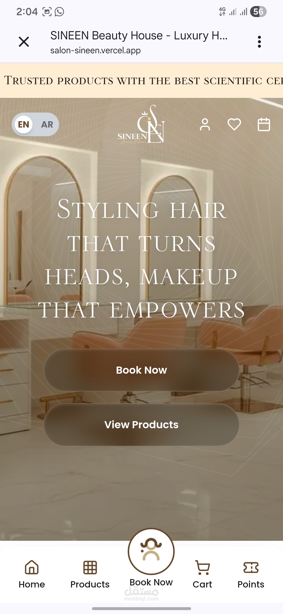 Salon sineen e-commerce