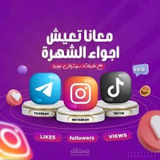 زياده متابعين السوشيال ميديا