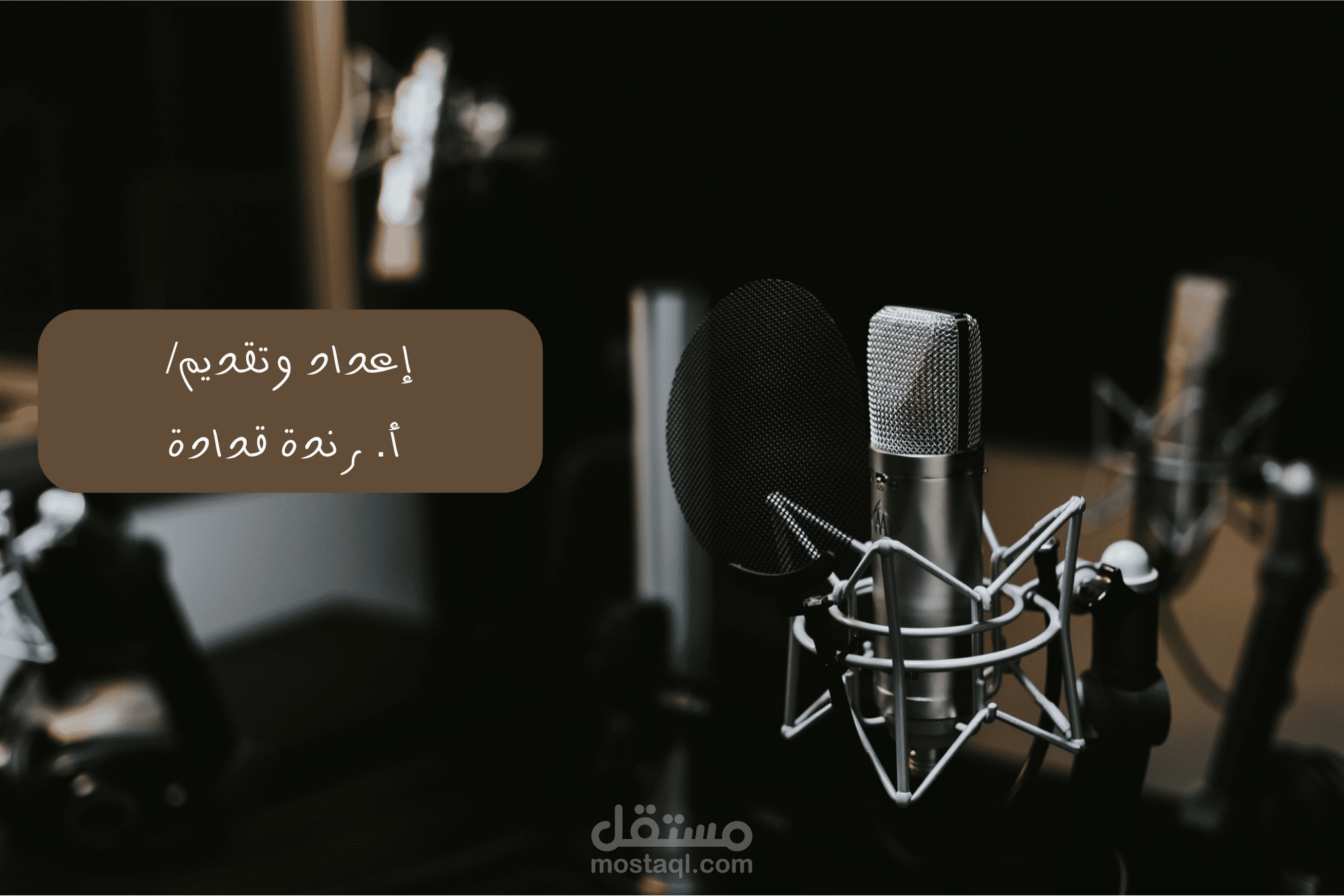 إعداد وتقديم حلقات إذاعية في إذاعة شمس.