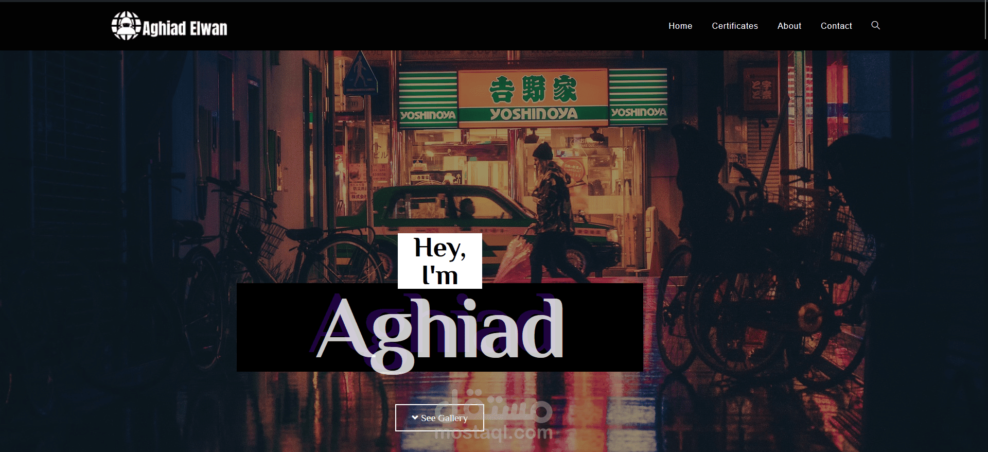 portfolio Website