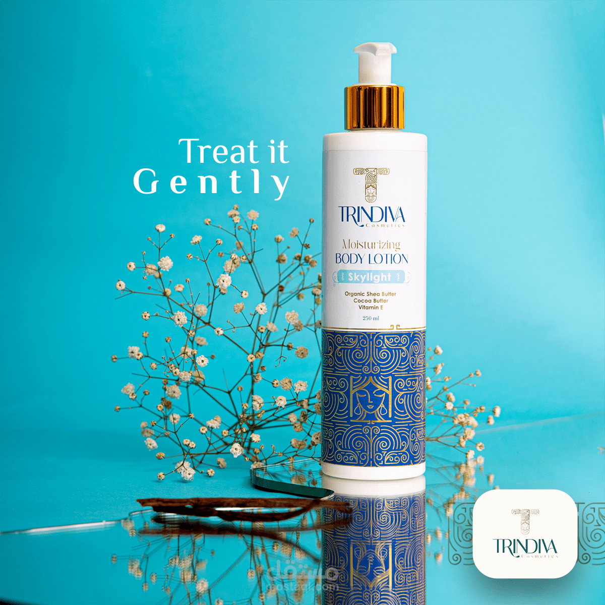 Trindiva - Social Media Designs