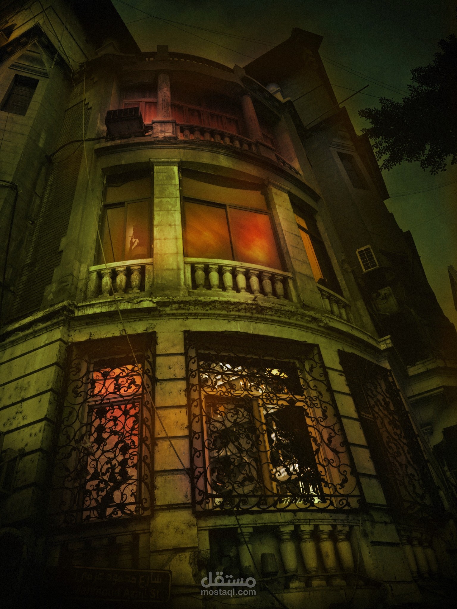 صورة في منطقة الزمالك