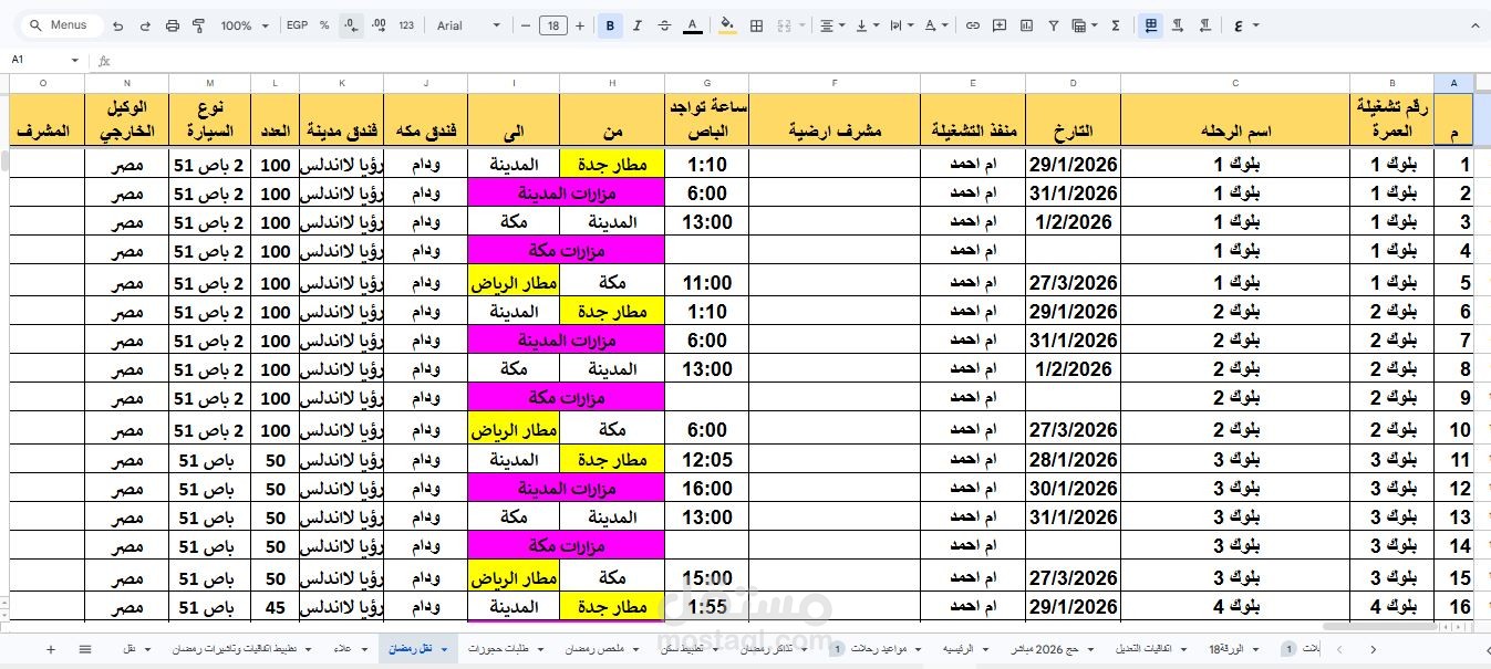 تصميم وتنظيم جداول بيانات متكاملة باستخدام Excel لإدارة المجموعات السياحية.