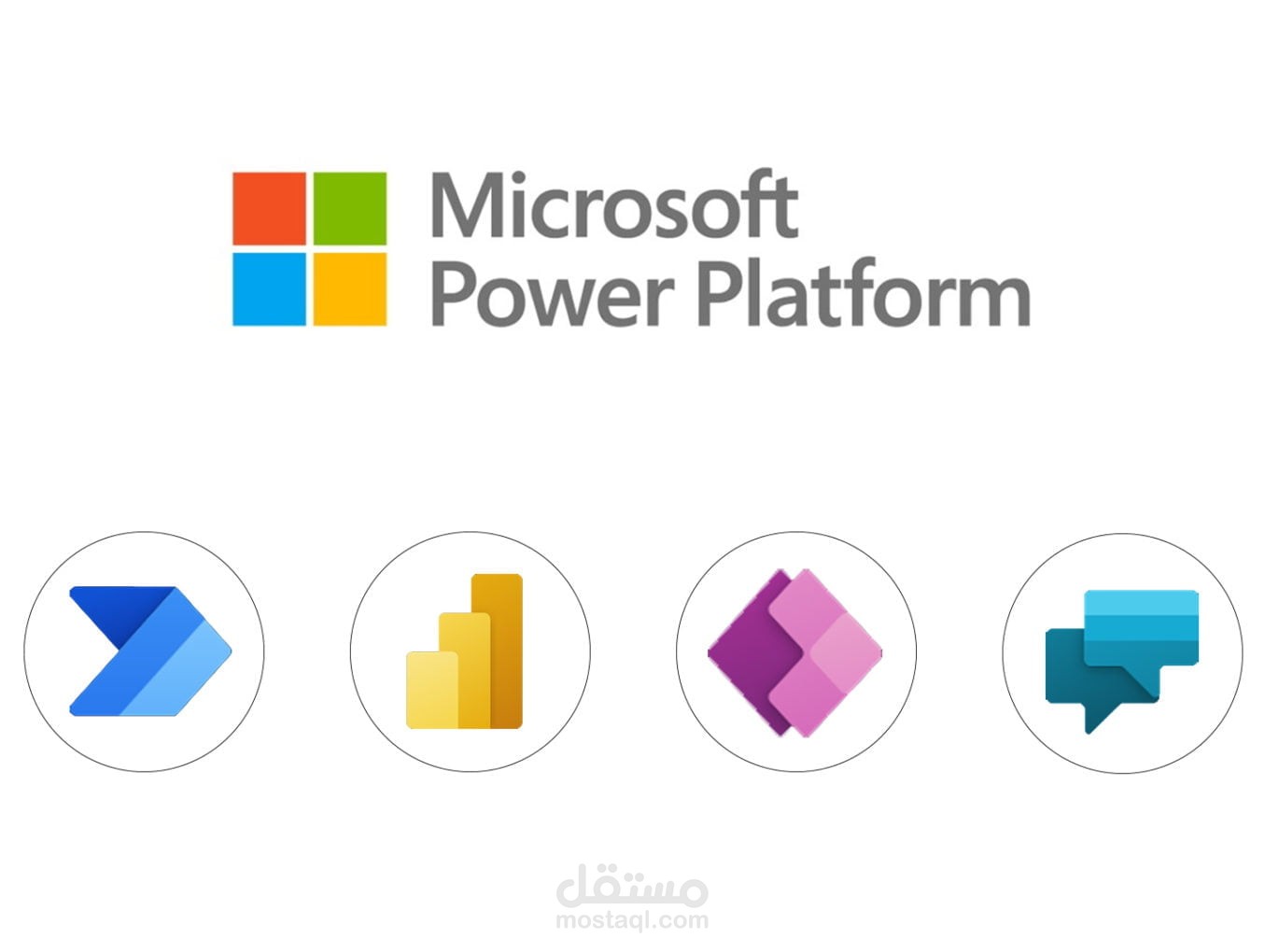 Microsoft Power Platform Developer