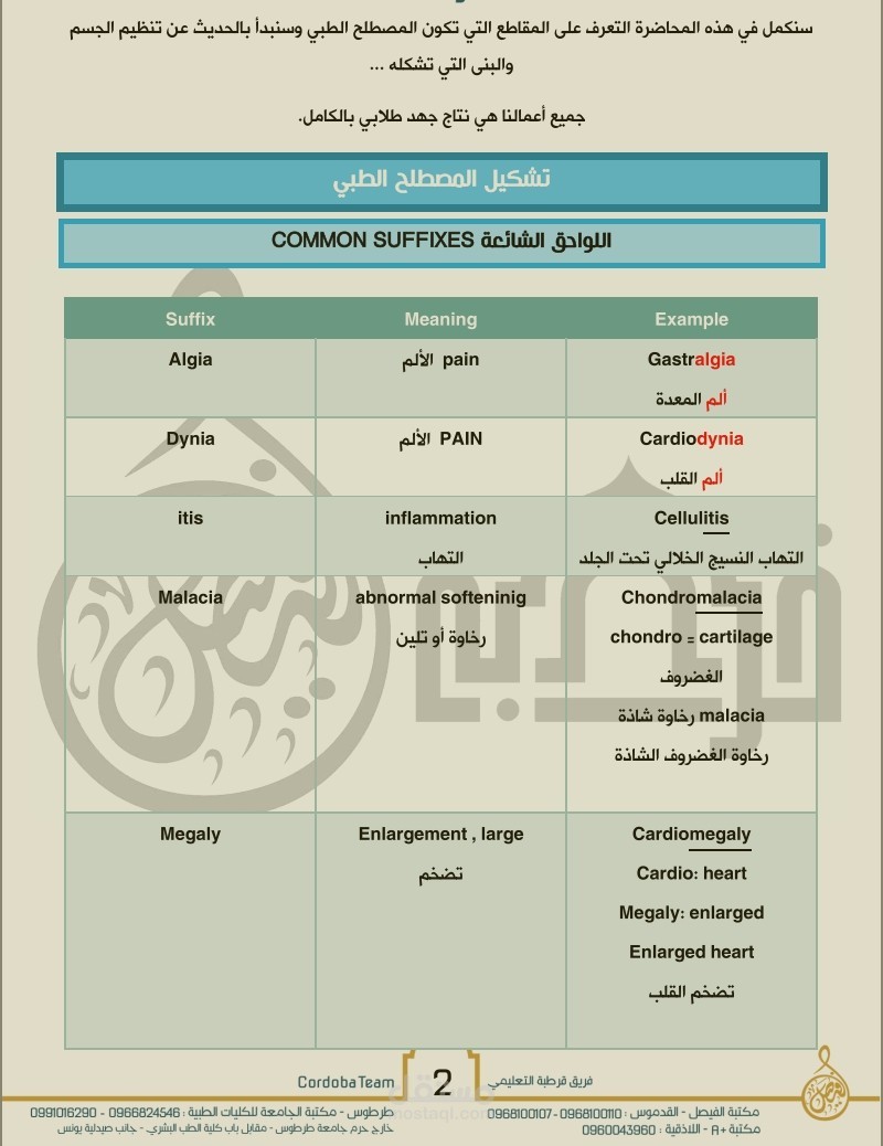 كتابة محاضرات مصطلحات طبية لطلاب الطب البشري