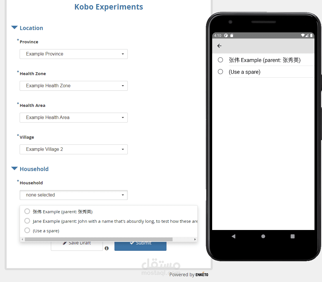 برمجة استمارات واستبيانات للدراسات العلمية والاجتماعية