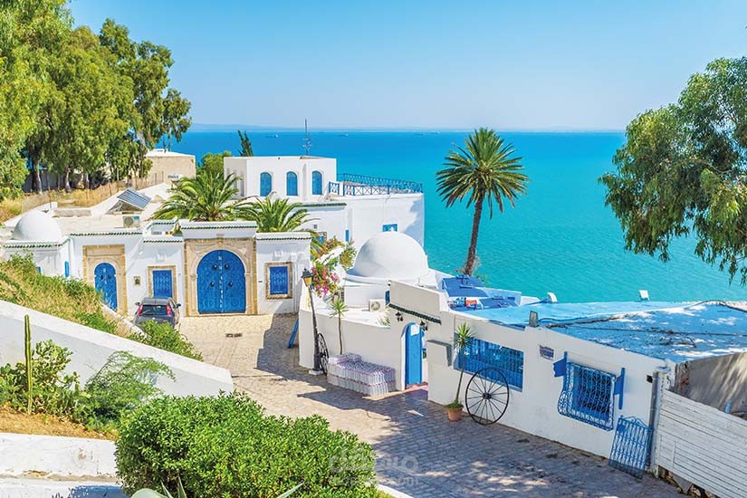 كتيبي الذي أعدته لرحلة منظمة إلى تونس