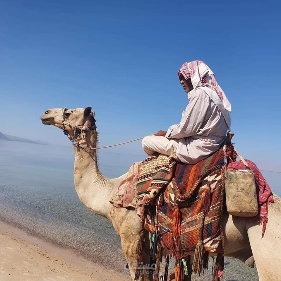 رحلات