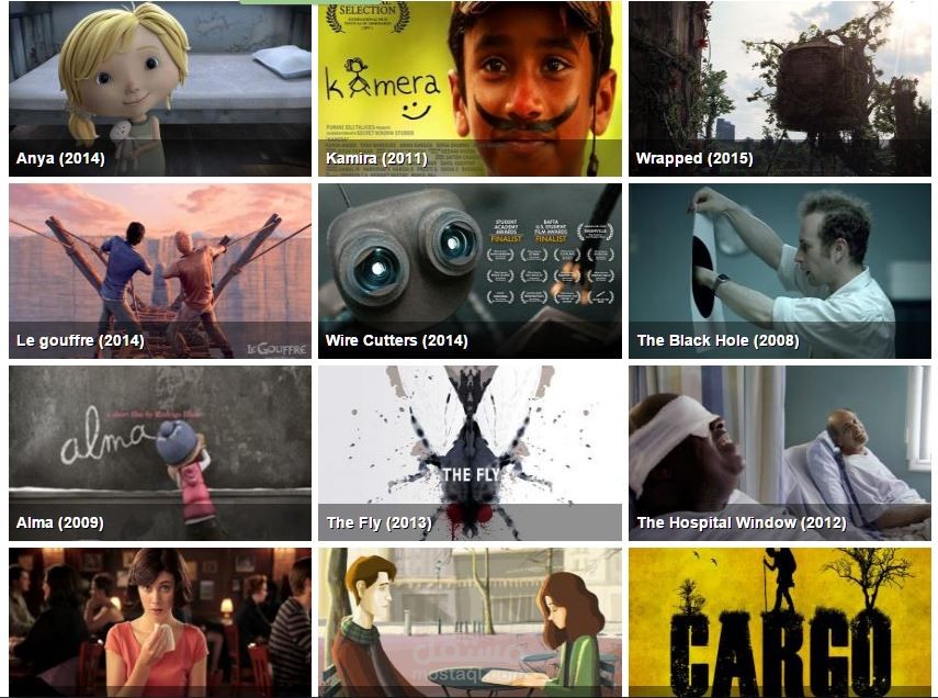 إدارة وصناعة محتوى المواقع