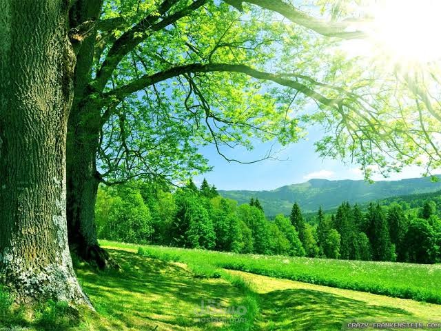 تصميمي وعمل رائع