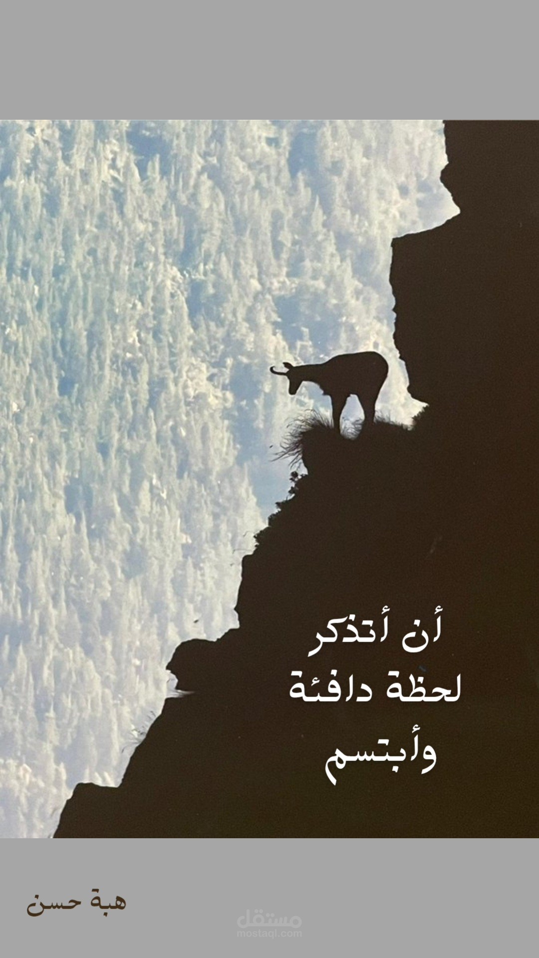 فيديو ترويجي (إنستاغرام)