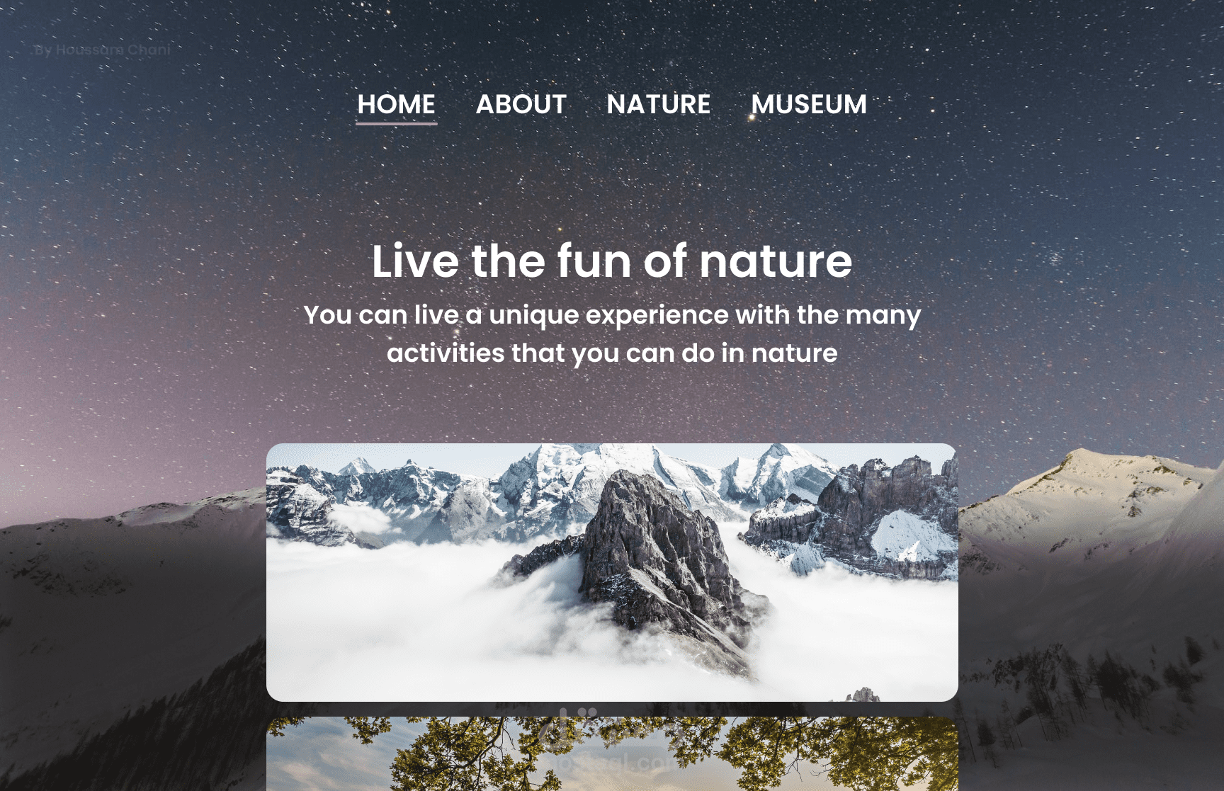 تصميم لموقع الكتروني خاص