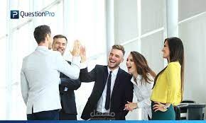 EMPLOYMENT SATISFACTION SURVEY