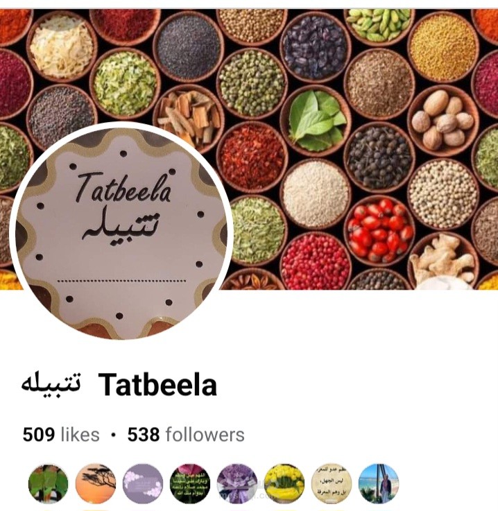 دعم فني لصفحات التواصل الاجتماعي