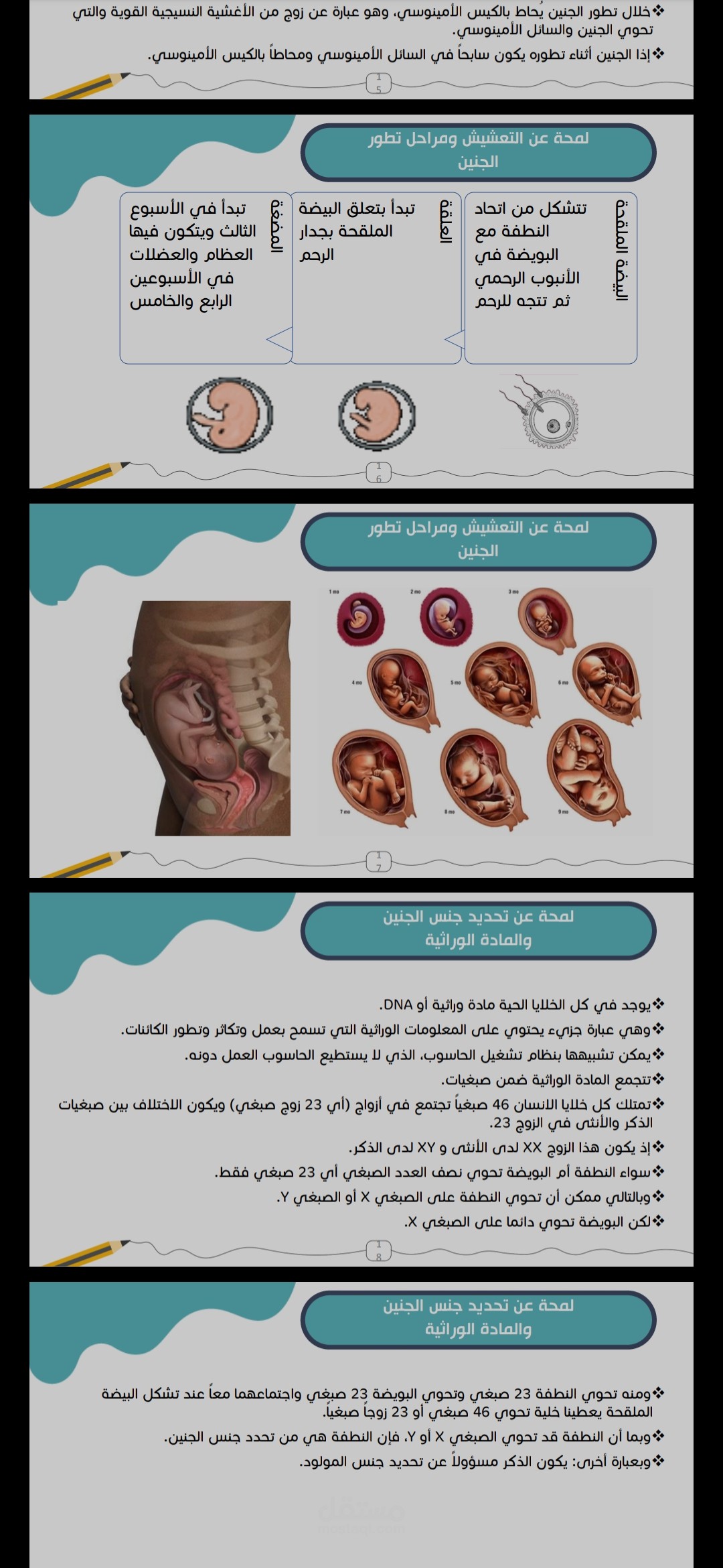 تنسيق وتصميم وتنضيد على الأوفيس