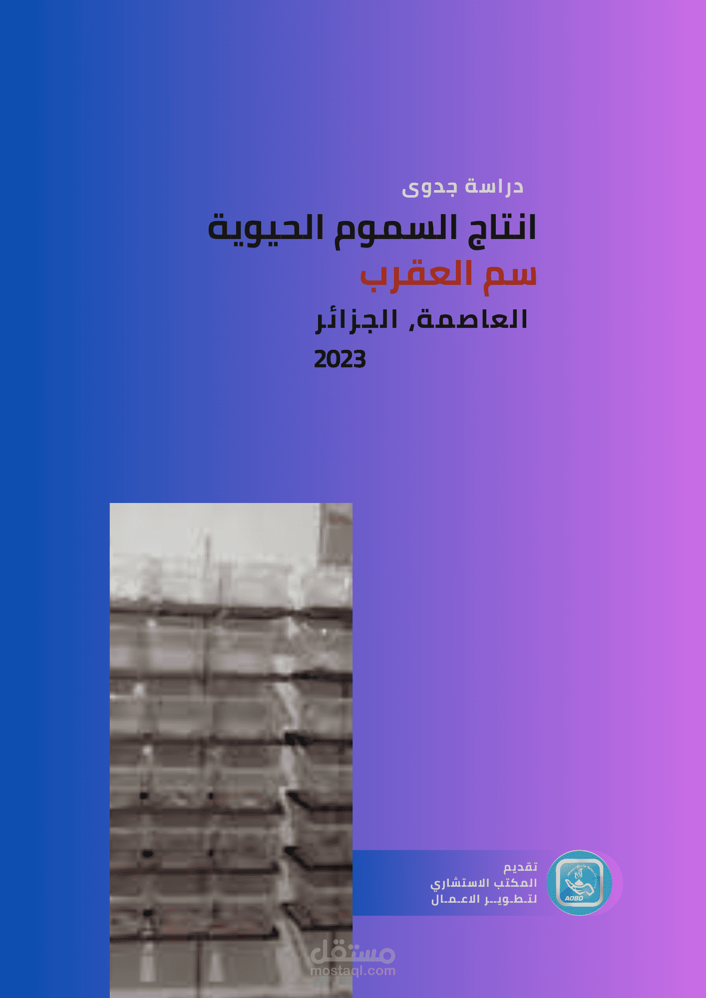 دراسات جدوى مشروعات إنتاجية | مستقل