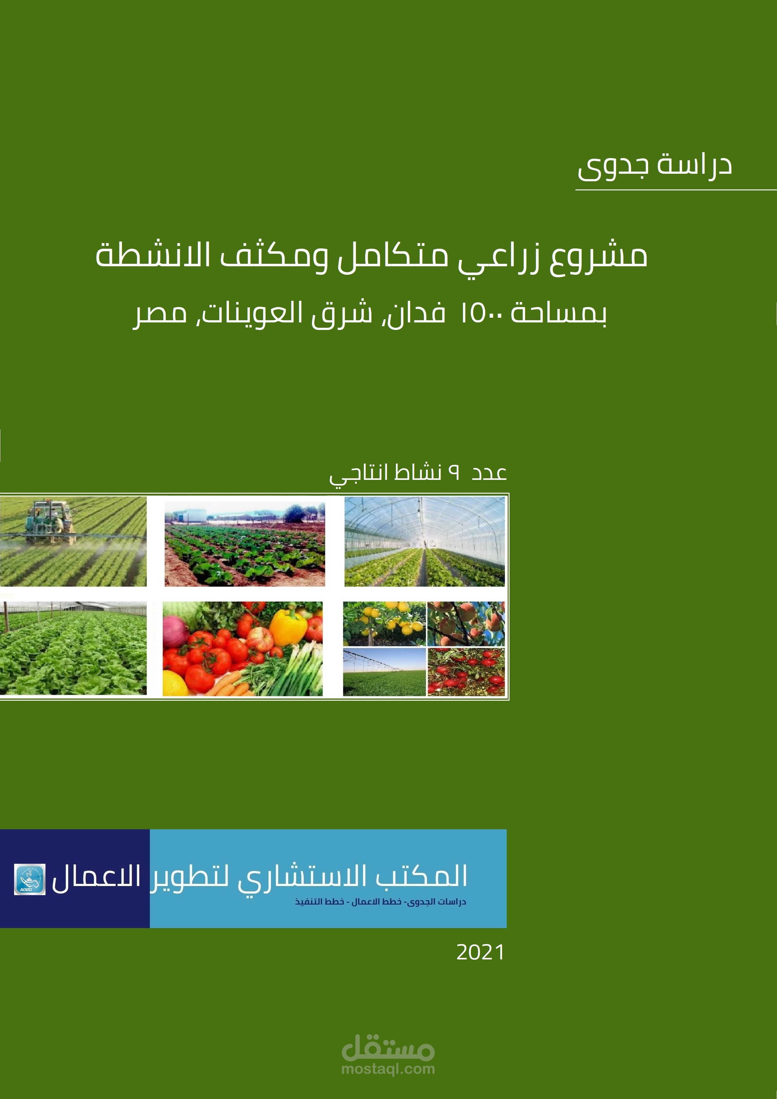 دراسات جدوى مشروعات زراعية