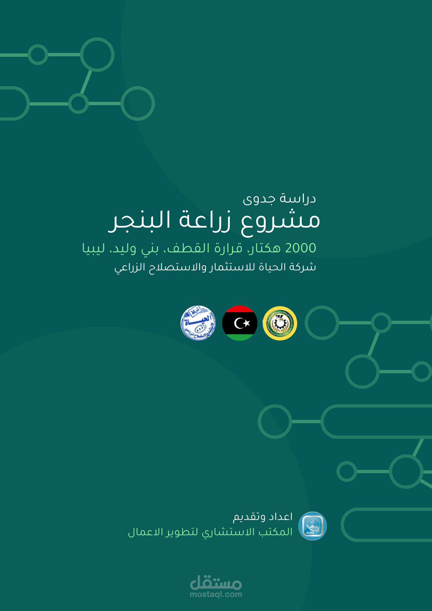 دراسات جدوى قدمناها خارج مصر