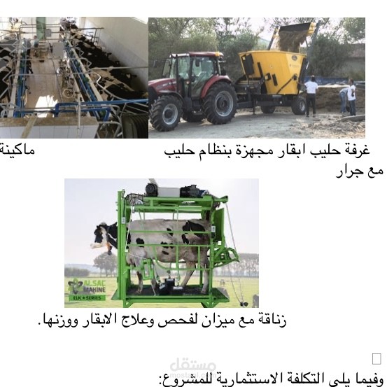 دراسة جدوى مشروع تربية ابقار حلوب في تركيا