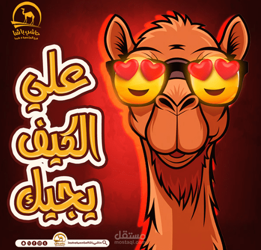 حاشي باشا المزاحمية