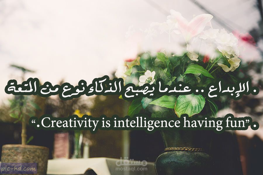 تأهيل وتطوير الكوادر