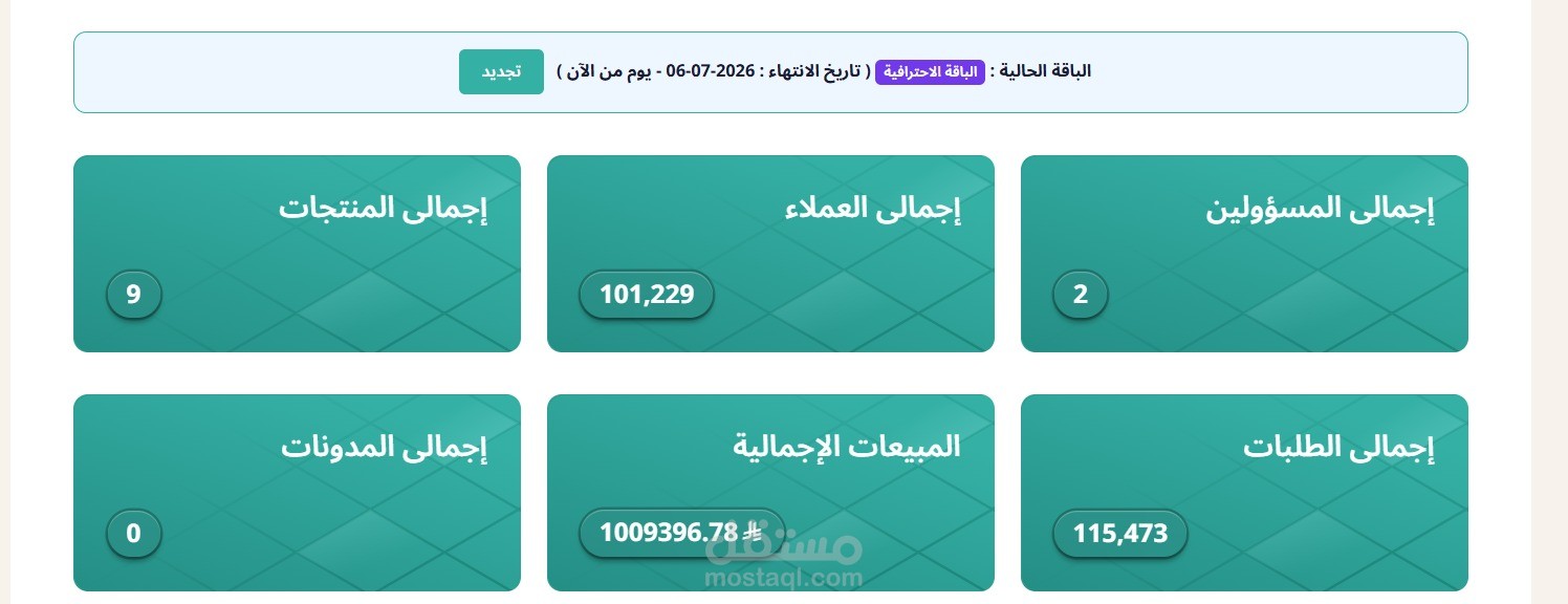 إدارة حملات Google Ads لمتجر إلكتروني تجاوزت مبيعاته 1,009,396 ريال