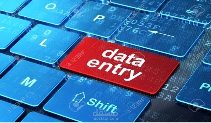 مدخل بيانات