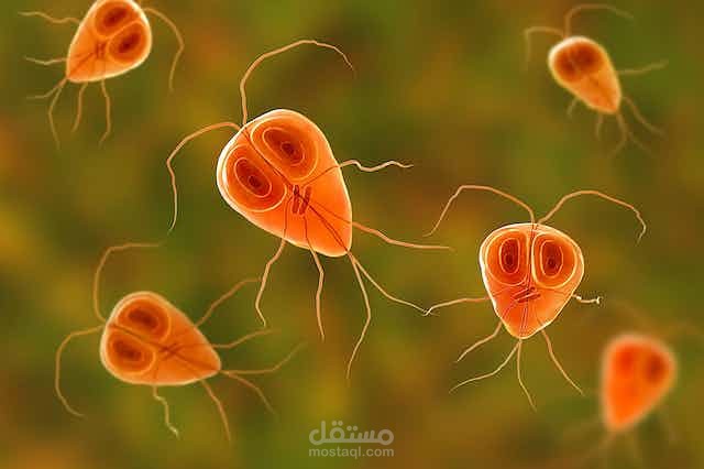 Parasite longer assay