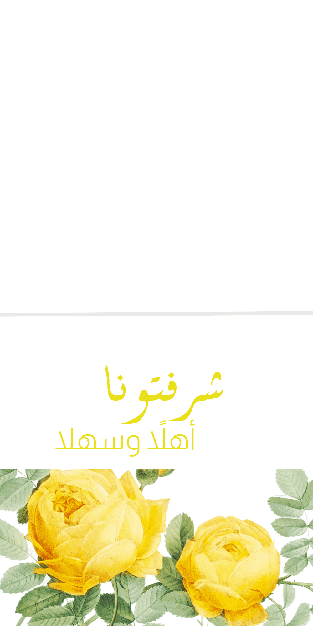 تصاميم انفوجرافيك