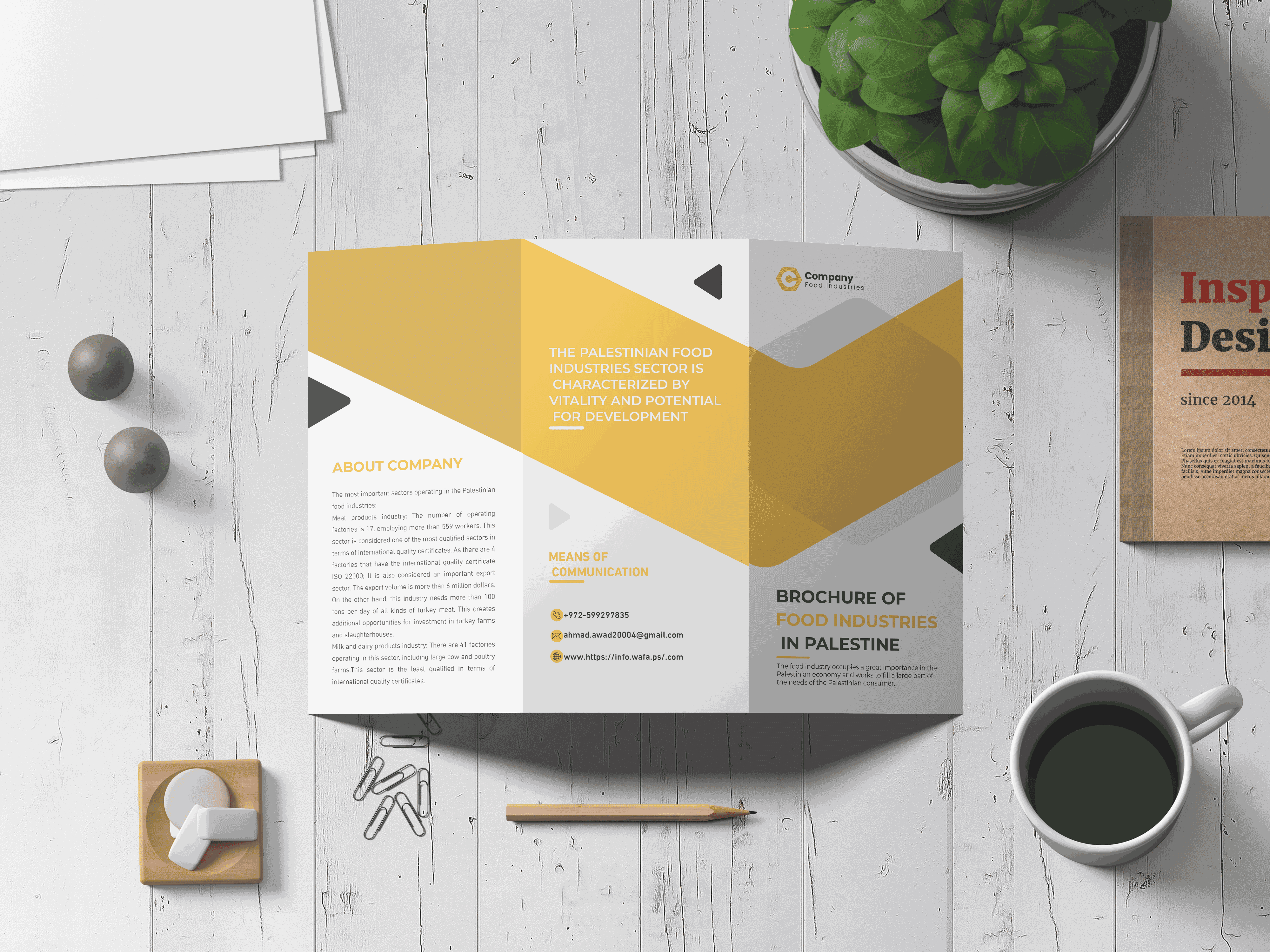 تصميم بروشور twofold brochure