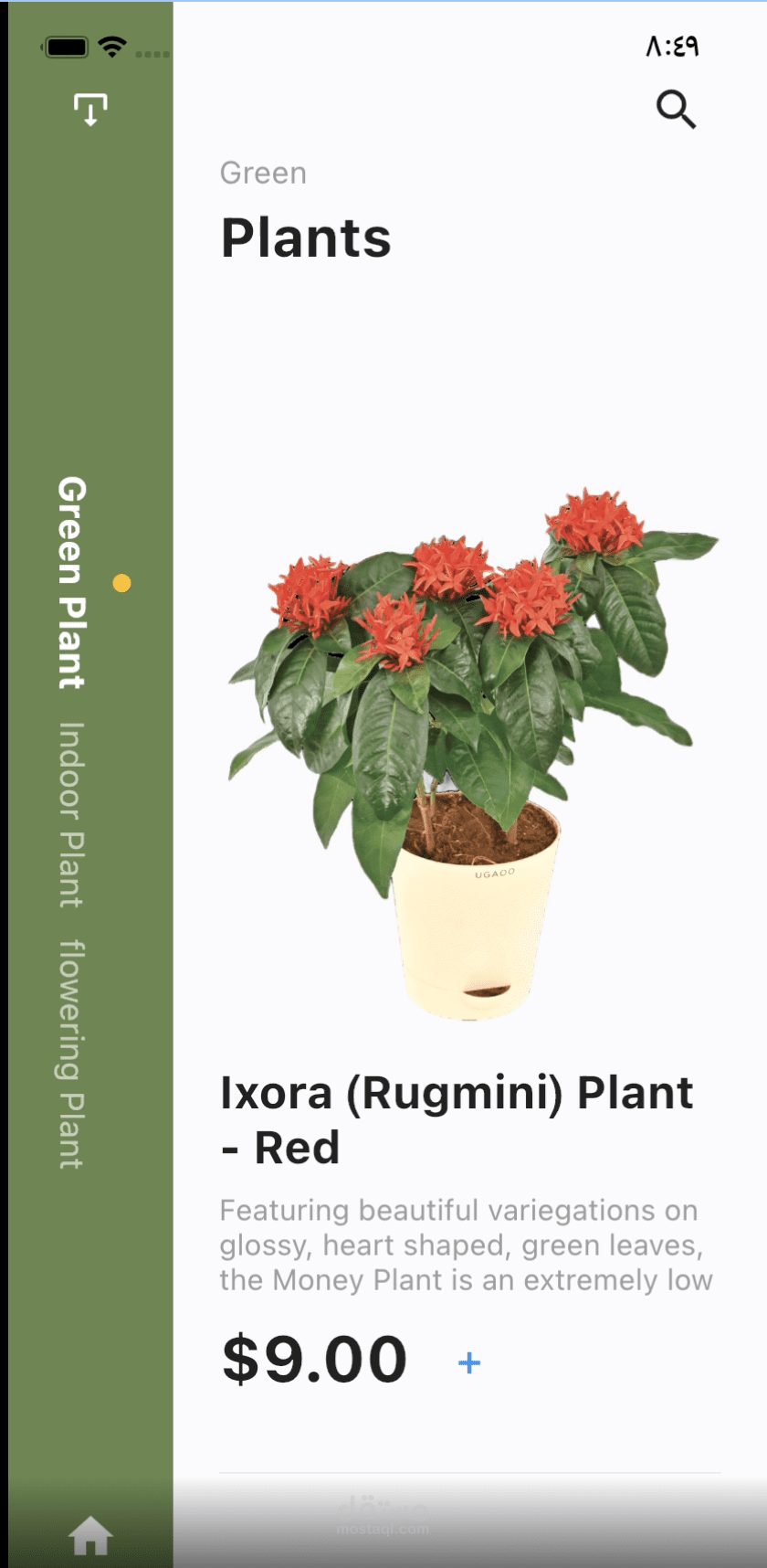 Plants Shop