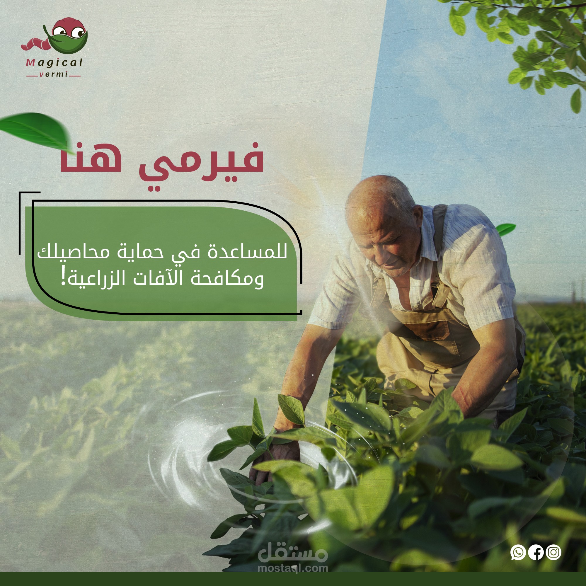 Social media design - Magical Vermi