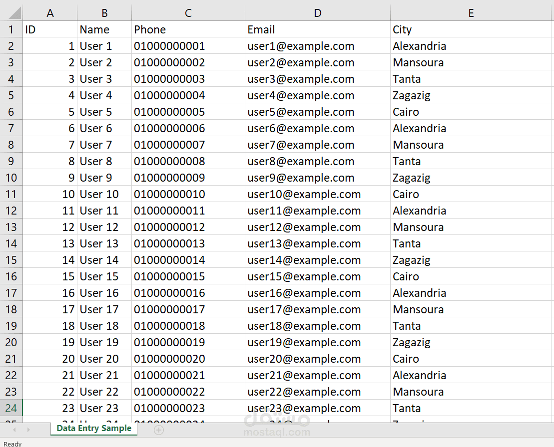 إدخال وتنظيم البيانات باستخدام Excel