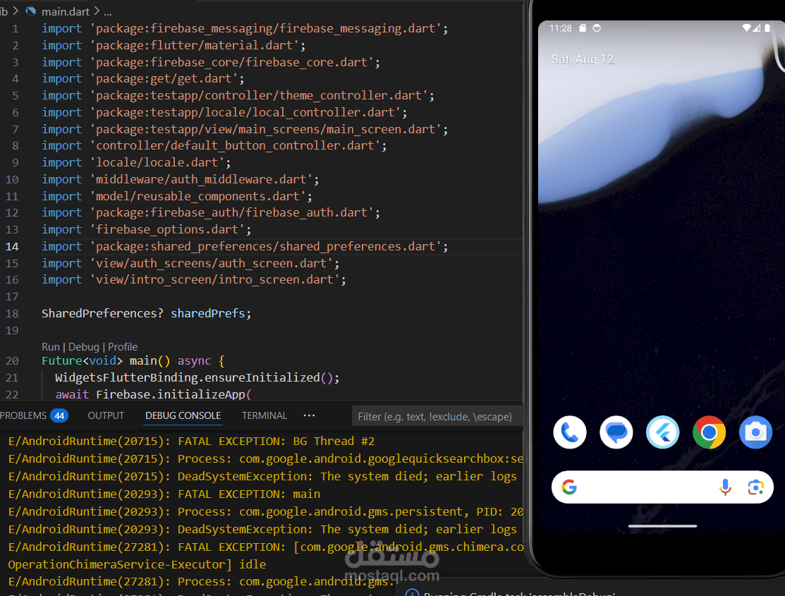 flutter project