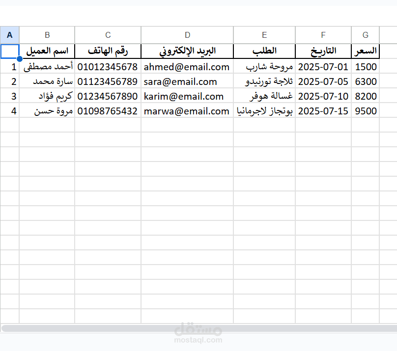 نموذج إدخال بيانات وتنظيم ملفات باستخدام Excel
