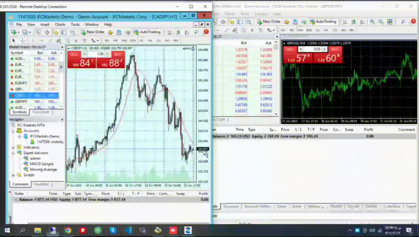 MT4 Copytrade Forex