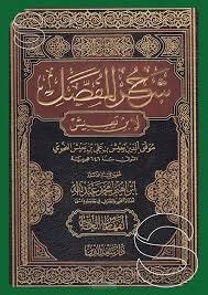 الحروف العاملة في شرح المفصل لابن يعيش